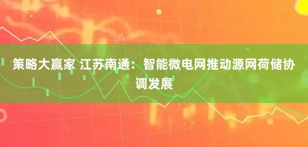 策略大赢家 江苏南通：智能微电网推动源网荷储协调发展
